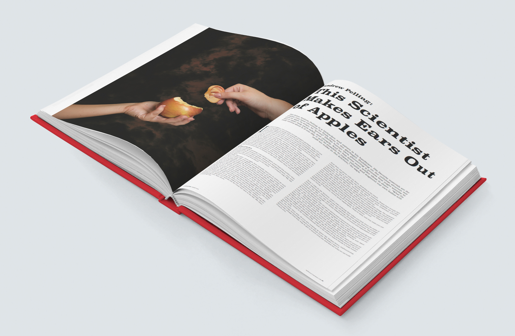 Book / Brochure - B6 -  Mockup